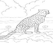 Printable kids s of a cheetah51eb coloring pages