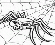 Printable halloween s for kids spidercfa5 coloring pages