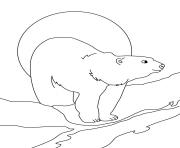 Printable kids polar bear color pages to printc3a5 coloring pages