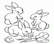 Printable coloring pages for kids rabbit and carrots1598 coloring pages