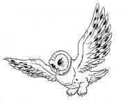 Printable snowy owl s for kids0cd5 coloring pages