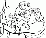 Printable monkey s for kids printable1c116 coloring pages