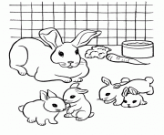 Printable coloring pages for kids rabbit and babiesc19d coloring pages