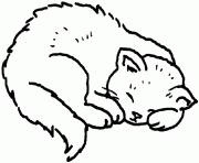 Printable sleepy s for kids cat55d8 coloring pages