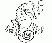 Printable seahorse  for kids08a0 coloring pages