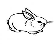 Printable pretty s for kids rabbit7aa3 coloring pages