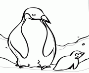 coloring pages for kids penguin animals5716