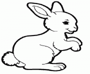 Printable cute animal s for kids rabbite028 coloring pages