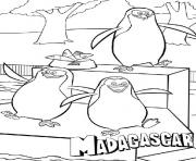 Printable madagascar s for kids penguinff28 coloring pages