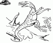 Printable dinosaur 170 coloring pages