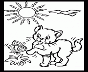 Printable cat catching butterfly 44b7 coloring pages