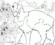 Printable cat smells flower db0b coloring pages