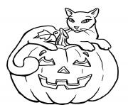 Printable pumpkin halloween black cat s for kidsc3f2 coloring pages