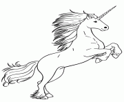 white unicorn