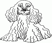 Printable long curly hair dog af02 coloring pages