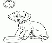 Printable hungry dog 5664 coloring pages
