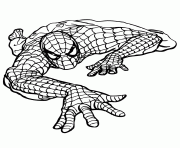 marvel comics spider man climbing colouring page