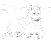 Printable arctic wolf coloring pages