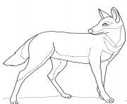 Printable ethiopian wolf coloring pages