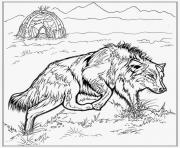 Wolf Coloring Pages To Print Wolf Printable