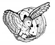 Printable advanced owl wings deployed coloring pages