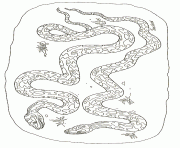 Printable on noahs ark coloring mural pythons by jan brett coloring pages