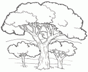 Printable on noahs ark coloring mural trees4 by jan brett coloring pages