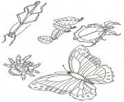 Printable umbrella mural coloring insects reverse by jan brett coloring pages