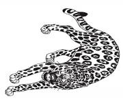 Printable umbrella mural coloring jaguar by jan brett coloring pages