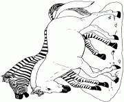 Printable on noahs ark coloring mural zebra by jan brett coloring pages