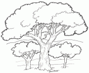Printable on noahs ark coloring mural trees3 by jan brett coloring pages