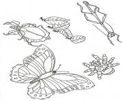 Printable umbrella mural coloring insects by jan brett coloring pages