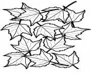 Printable autumn maple leaves fall coloring pages