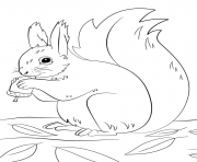 Printable squirrel preparing for winter fall coloring pages