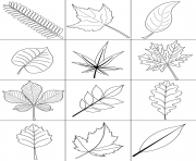 Printable autumn leaves fall coloring pages