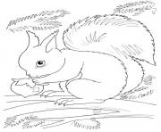 Printable squirrel fall coloring pages