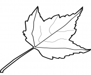 Printable maple leaf fall coloring pages