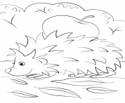 Printable hedgehog with apple fall coloring pages