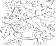 Printable autumn leaves and acorns fall coloring pages