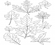 Printable fall leaves coloring pages