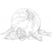 Printable pumpkin and leaves fall coloring pages