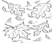 Printable autumn leaves fall coloring pages