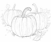 Printable three pumpkins halloween coloring pages