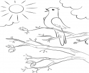 Printable spring bird coloring pages