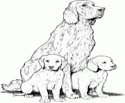 Printable dog breed coloring pages