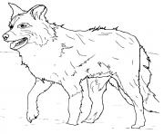 Printable Scotch Sheep Dog or Border Collie coloring pages