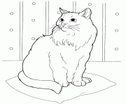 Printable siberian cat coloring pages