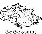 Printable vegetable cucumber coloring pages