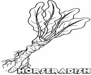 Printable vegetable horseradish coloring pages