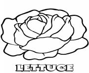 Printable vegetable lettuce coloring pages